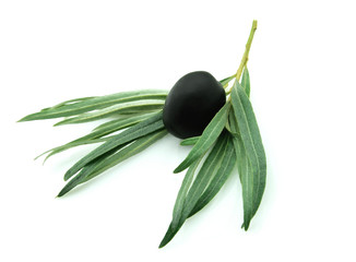 Ripe olive