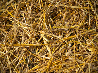 straw background