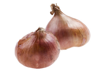 Yellow onion on white background