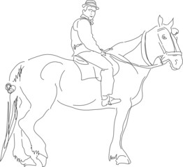 Horse & rider