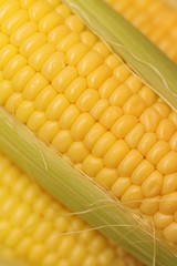Corn