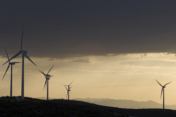Obraz premium windmills