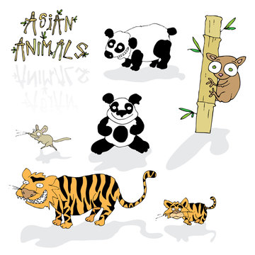 vector asian animals illustration