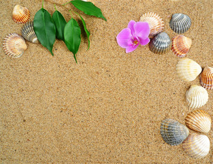 tropical holiday background