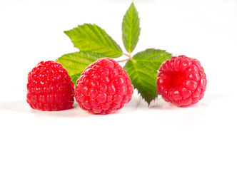 framboises en gros plan © studiophotopro