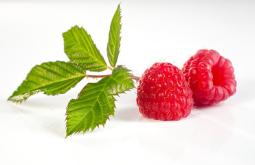 framboises et leurs feuilles vertes sur fond blanc