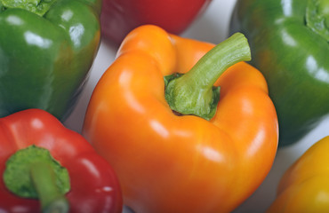 fresh peppers