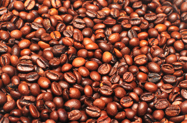 roasted coffee beans background