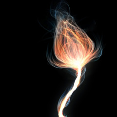 abstract illustration of a flaming floral shape