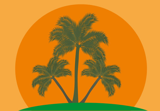 three palms at sunset