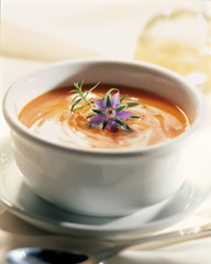 Suppe