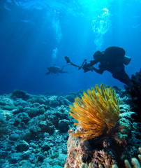 Diver with digital camera