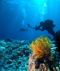 Fototapete Tauchen Diver with digital camera