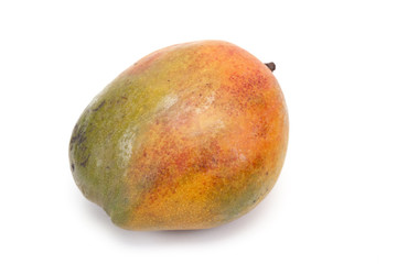 mangue