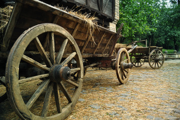Fototapeta na wymiar cart with hay