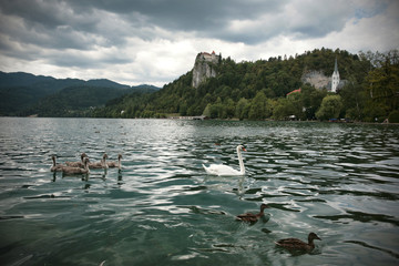 Lake Bled in Slovenia