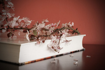 Book and blossom branch