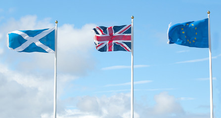 scottish, british and european flags in wind