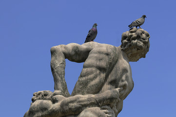 Tauben auf Statue © Xaver Klaussner