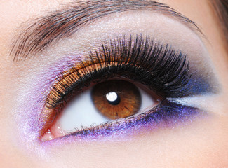 Female eye with fashion saturated make-up