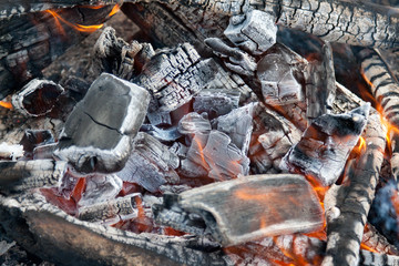 Campfire burning coal