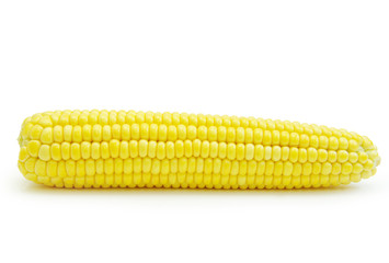 maize