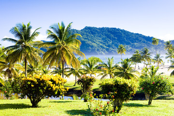 Fototapeta na wymiar Marakasy Bay, Trinidad