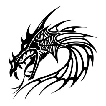 Tattoo Dragon Vector