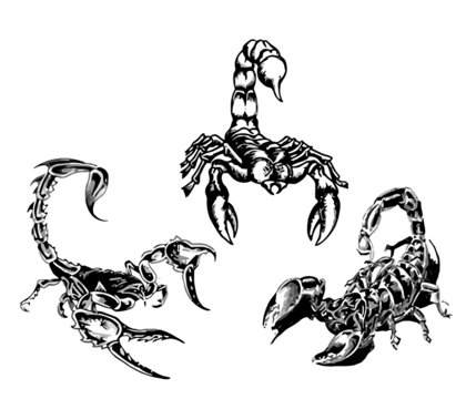 tattoo of the scorpions 3