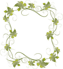 Wein, Weinrebe, Ranke, Weinblätter, Blätter, filigran