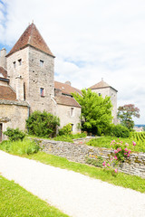 Fototapeta na wymiar Gevrey-Chambertin Castle, Cote de Nuits, Burgundy, France