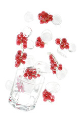 Red currant with an ice