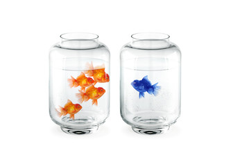 Couple de Poissons Rouges