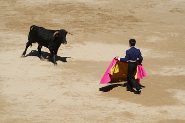 Festival taurino sanfemines, 13 de julio de 2010, Pamplona.