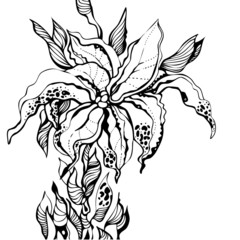 floral design element