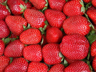 fraises rouges