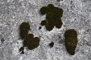 Alte Steinplatten