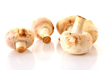 handful of raw mushrooms isolated on white background