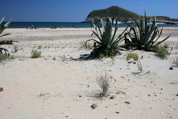 Pitas en la arena de la playa de Los Genoveses
