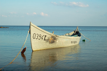 row boat over sea