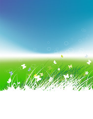 Obraz premium Green field with butterflies, summer background