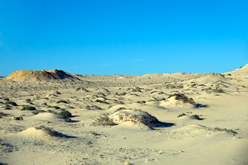 Sahara Desert, Western Sahara
