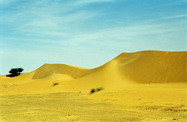 Fototapeta na wymiar Sahara Desert, Mauritania
