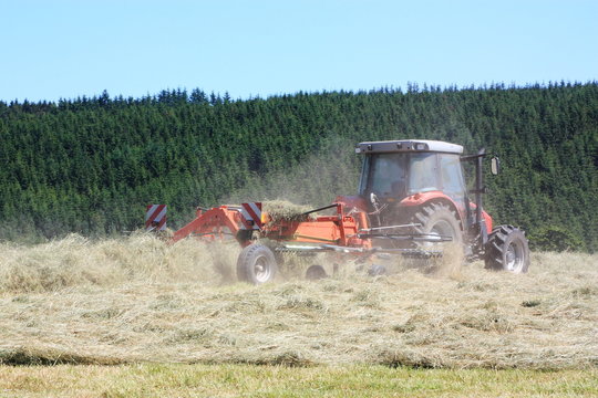 Agriculture, Raking Hay For Baling