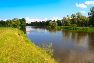 Green bank of Bug river