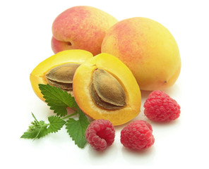 Apricots with berries and a mint branch