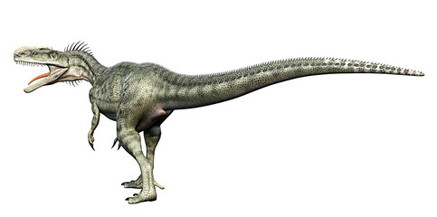 monolophosaurus back side