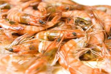 Shrimps