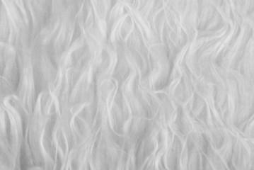 Obraz premium woollen blanket