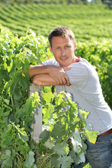 Winegrower standing in vineyard